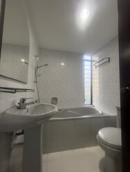 Pandan Valley (D21), Condominium #588791021